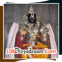 Thirunarayur Divyadesam Nachiyar Koil Narayur Nindra Nambi Temple Kal Garudan Naga Dosha Relief